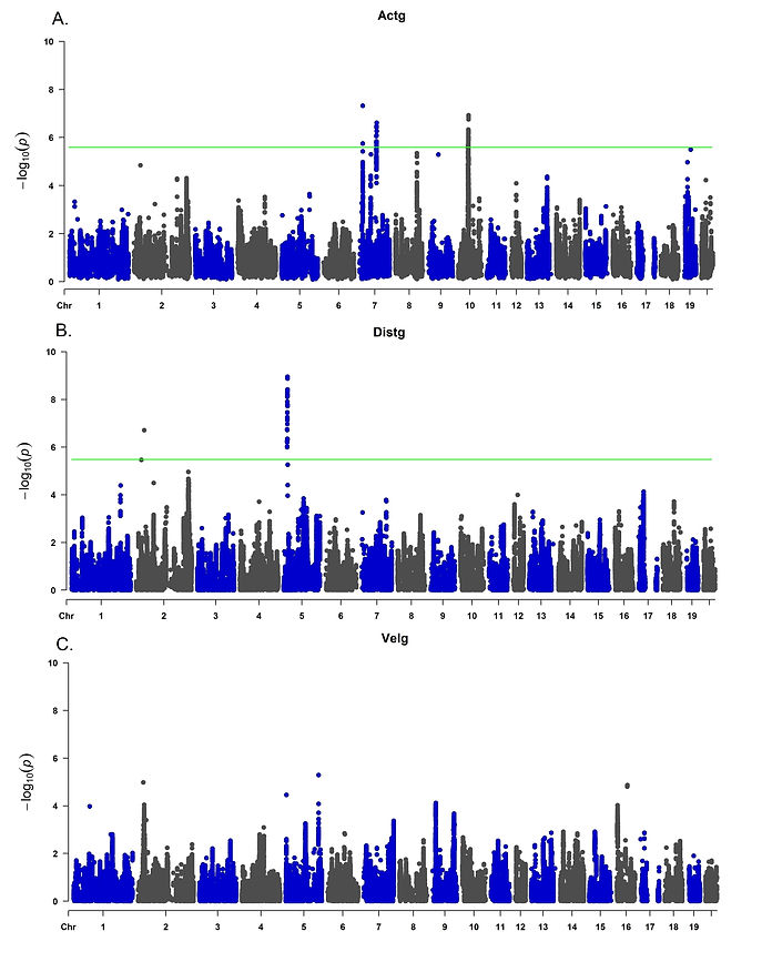 Multivariate genetic associations analysis results for the CCC behavioral test