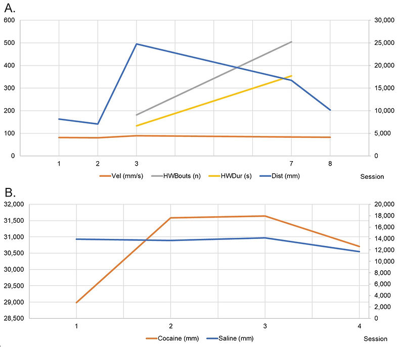 Rat performance for phenotypic traits by session