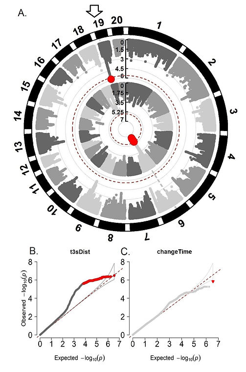 Univariate whole-genome association results for t3sDist