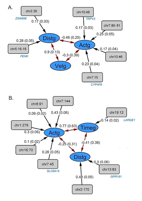 Genomic SEM solutions for the genetically defined constructs, Actg-Distg-Velg