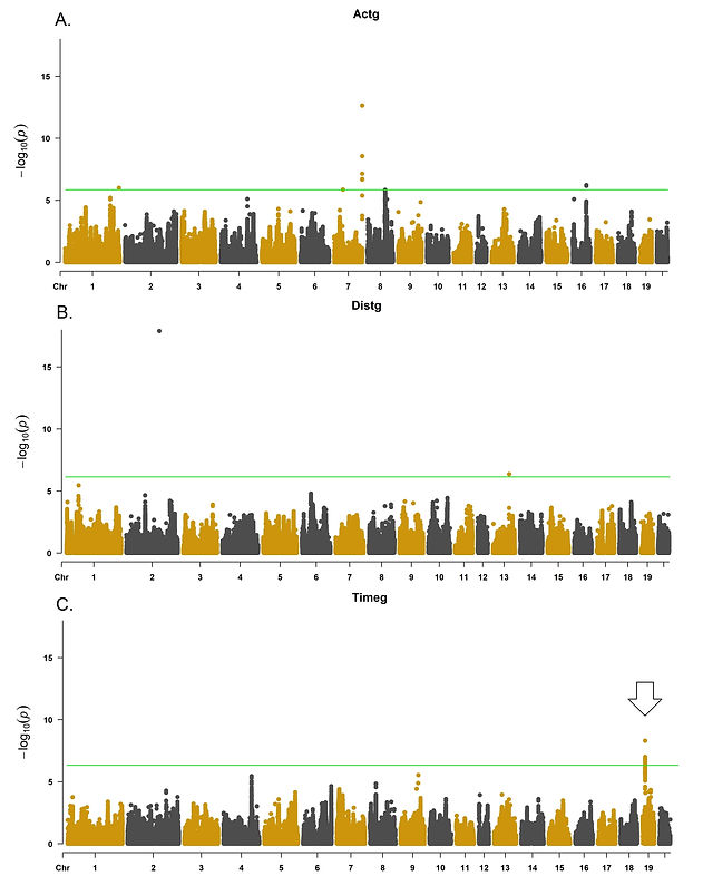 Results for the CCP multivariate genetic association analysis behavioral test