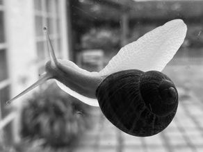 Matins blancs - Nuits noires