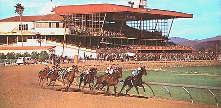 Turf Paradise photo_edited_edited_edited