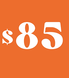 2026 pricing 85 (2).png