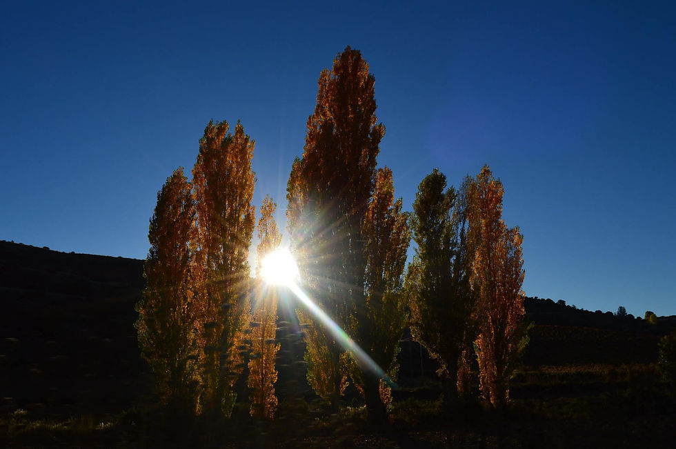 valle-del-cuco-3