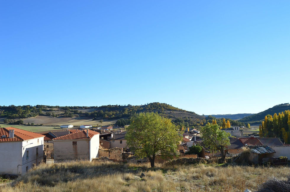 Corrales de Duero
