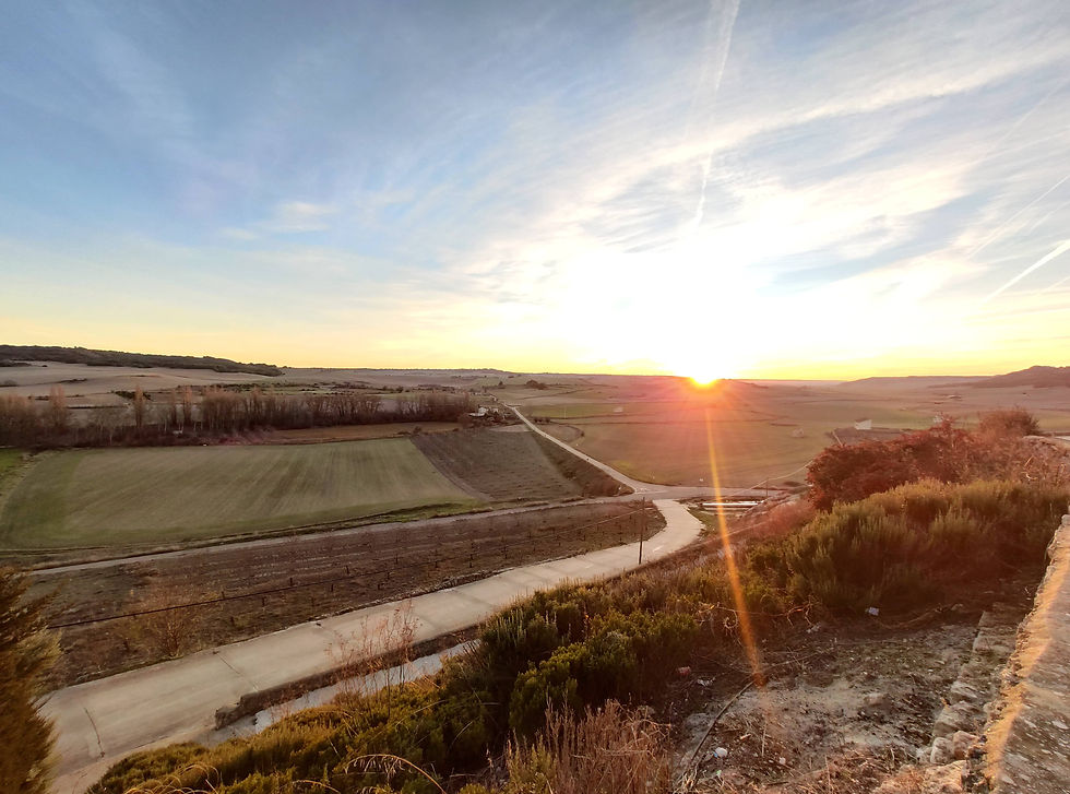 Atardecer en los campos del Cerrato