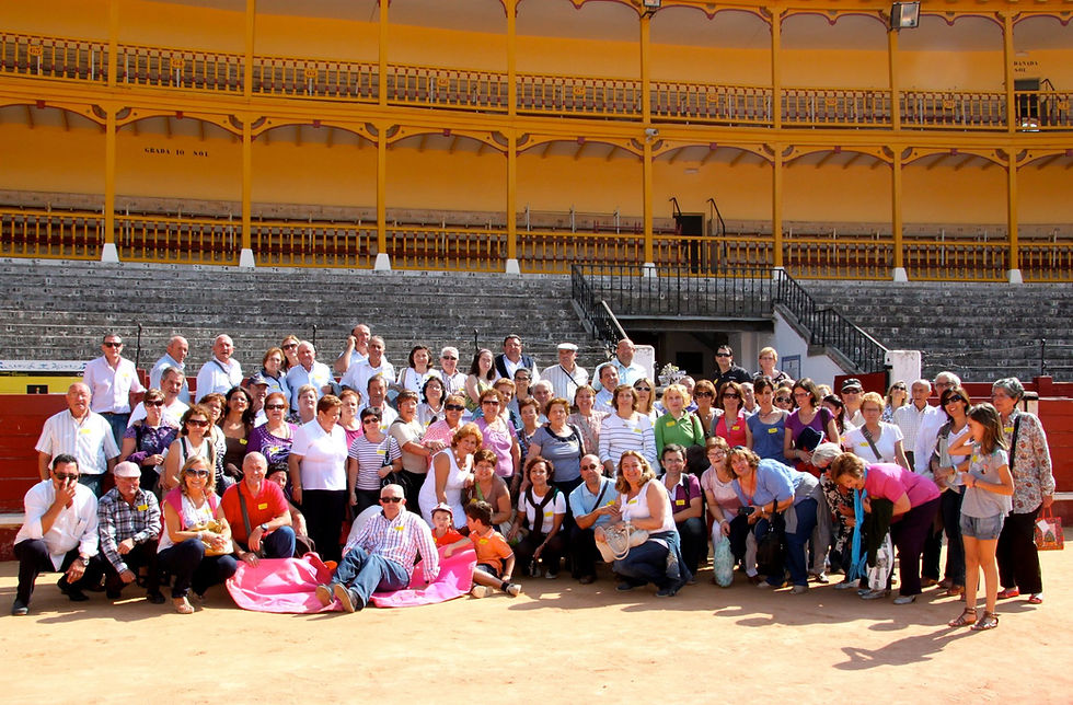 Asociación de la Villa de Aldeamayor