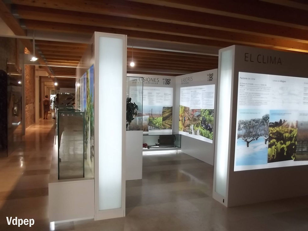 Museo Provincial del Vino de Peñafiel