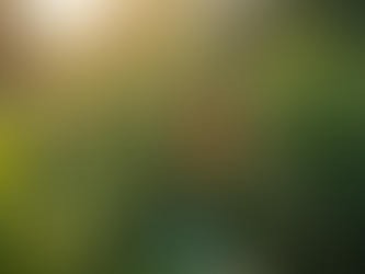 A Guide to Overcoming Common Fears and Phobias