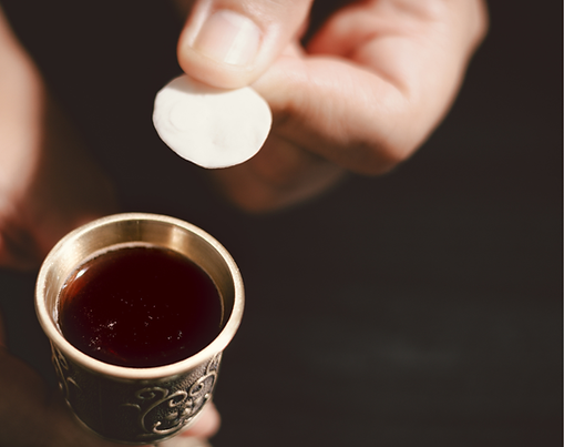 Eucharistic Ministers to the Homebound and Hospitalized
