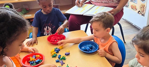 Special Collections (7).png