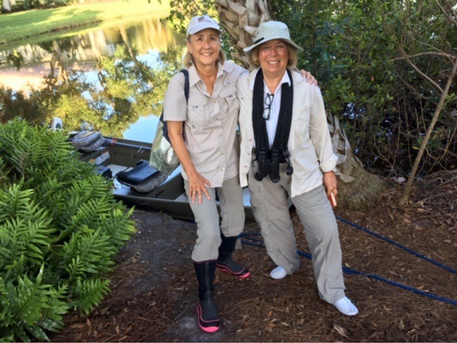The Accidental Rookery - Oct. 3 Program