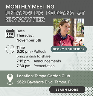 Monthly Meeting (Webpage 106).png