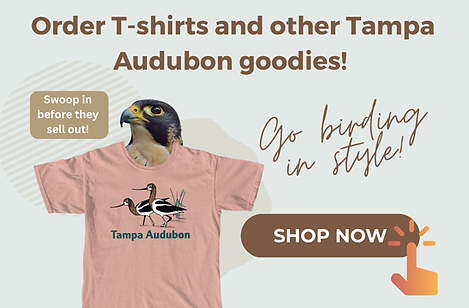 T-Shirt Sales_Home Web Page graphic.png
