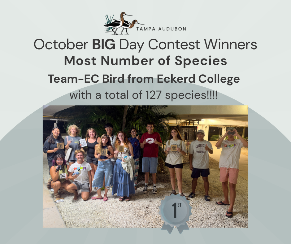 Tampa Bay Celebrates an Inspiring October Big Day