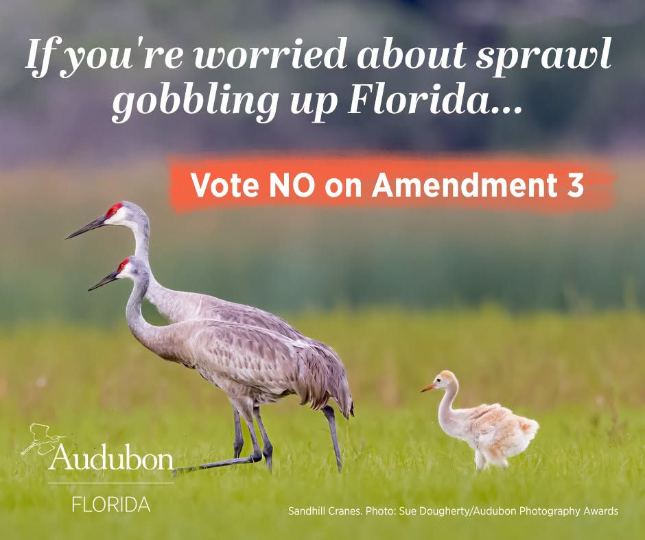 Amendment 3 Threatens Florida’s Communities, Water, and Wildlife 