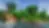 dronko's alternative Bushy Leaves