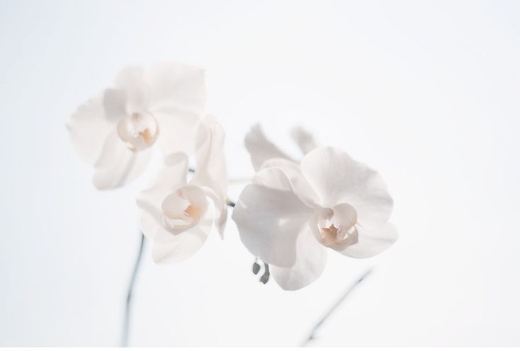 Screen Shot 2020-01-17 at 4.52_edited.jpg