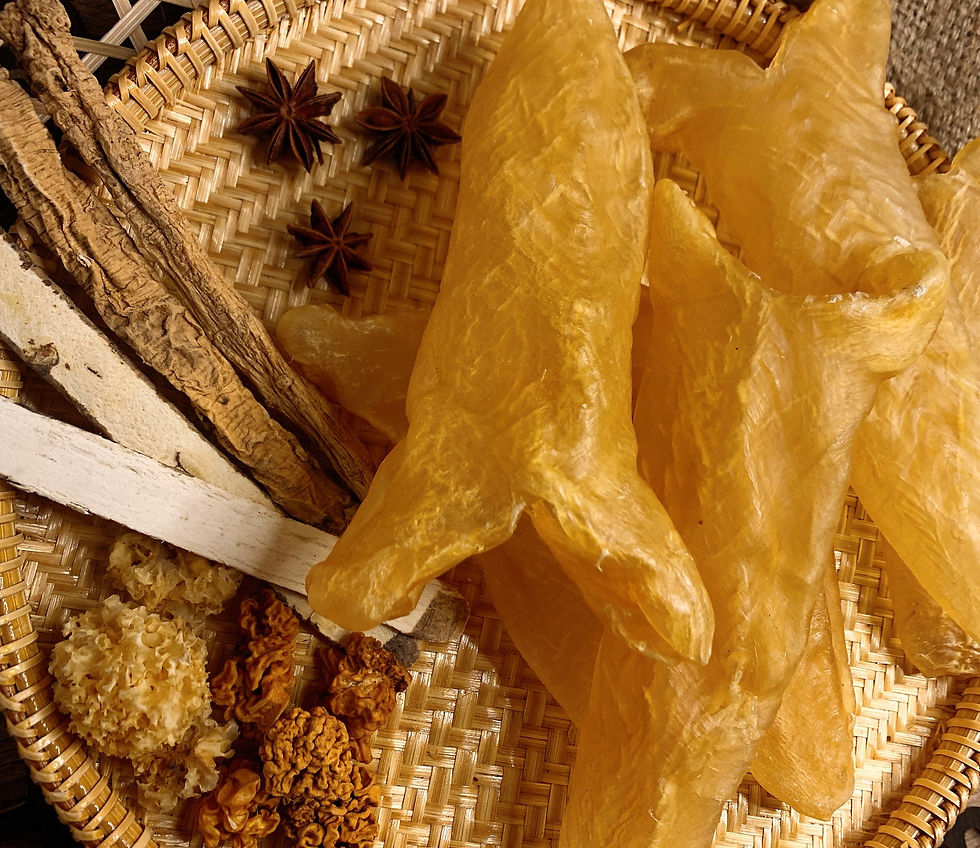 縮圖：花膠筒（21頭）
