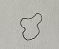 Abstract black outline on a white textured background, resembling an irregular organic shape with no other details or text visible.