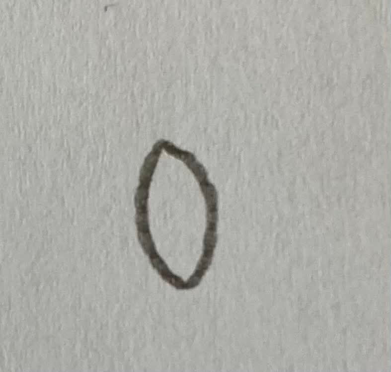 Pencil-drawn oval shape on white paper background. The lines are uneven and sketchy, resembling a simple outline sketch.