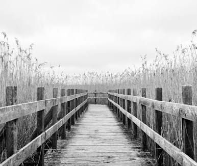 📸 Beyond the Frame: Stripping Away the Noise with Black & White