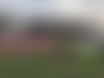 North Eastern Cross Country Championships 2017