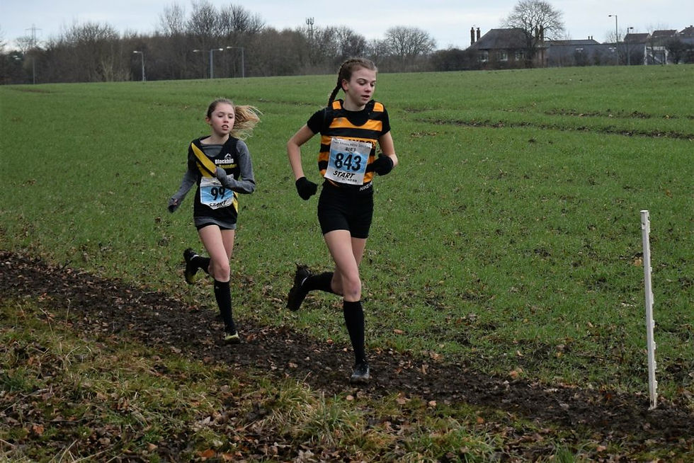 27797904_1857673237578911_6303573898466748469_o