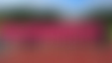 The Start Fitness Blaydon Race 2024 - Thank you for making it a success!