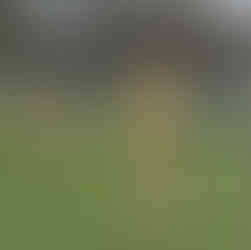 Ellie Fellows at the Inter Counties Cross Country Championships 2026