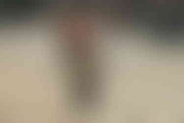 Blaydon athletes at NEHL Wrekenton