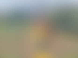 Ellie Fellows at the Inter Counties Cross Country Championships 2026