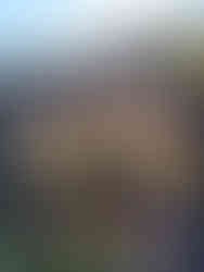 Blaydon athletes at NEHL Lambton Estate Cross Country