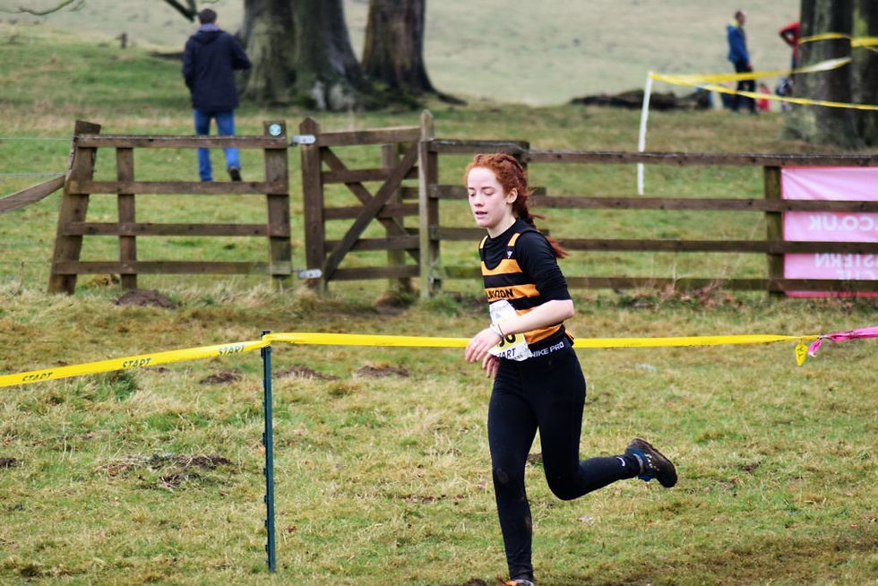 17039026_1498112316868340_5368594966564482048_o