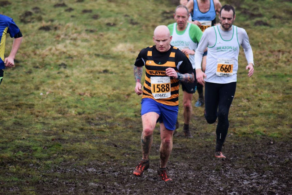 17039187_1498121923534046_9178729965334098096_o