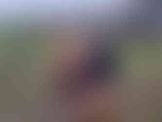 Blaydon athletes at the North Eastern Counties Cross Country Championships 13 December 2025