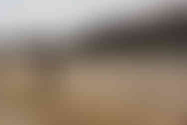 Blaydon athletes at NEHL Wrekenton