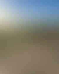 Blaydon athletes at the Blackhill Bounders Steelworks Relays