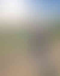 Blaydon athletes at the Blackhill Bounders Steelworks Relays