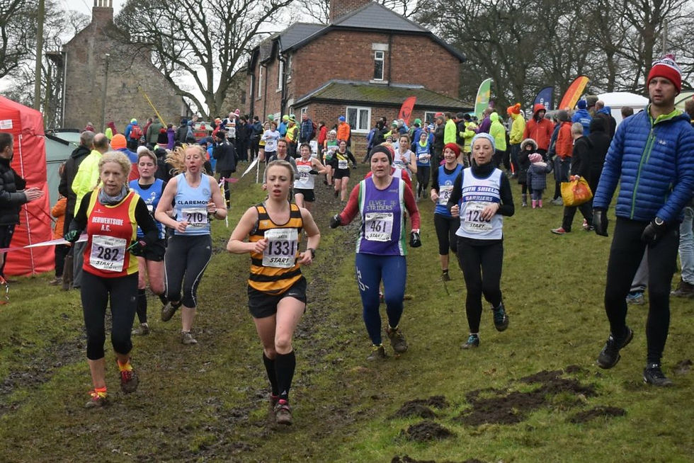 27788783_1857684807577754_705360824177361562_o