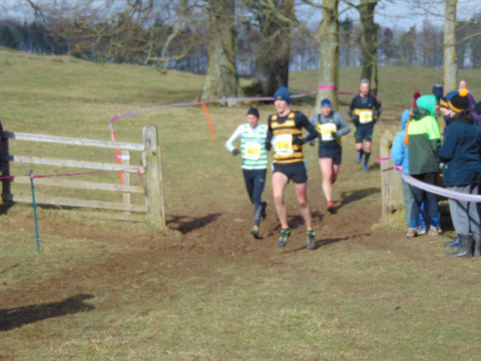 29340366_1897289083617326_2511116268136824832_o