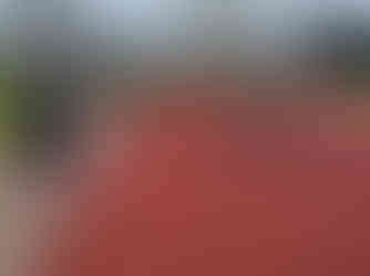 NEYDL Track and Field 21 April 2024