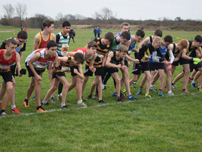 Sherman Cup / Davison Shield