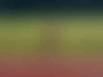 NEYDL Track and Field 21 April 2024