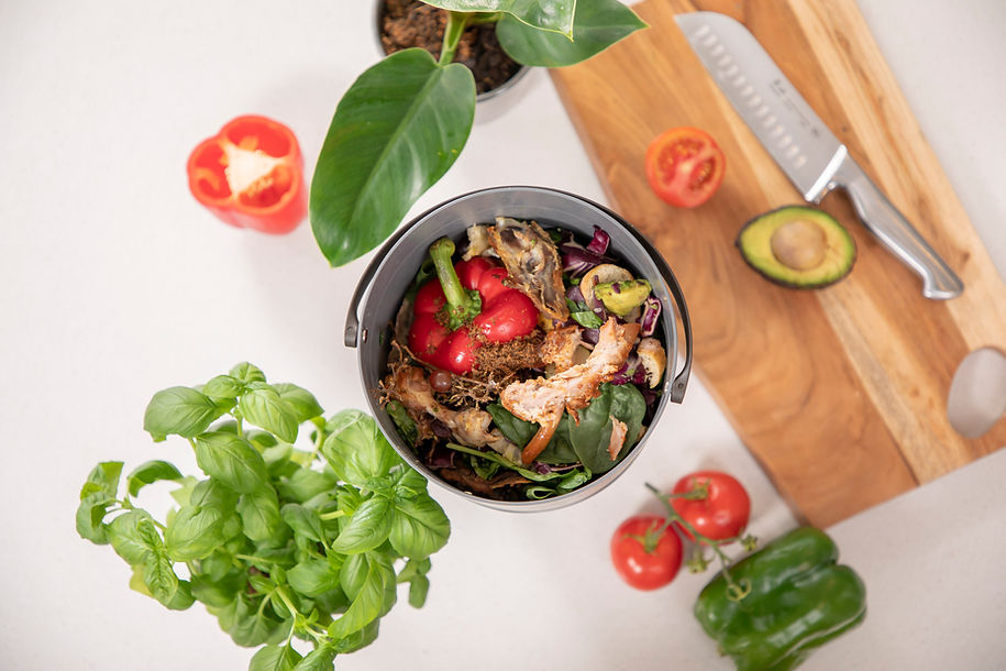 FoodCycler 101A4399 (1).jpg