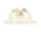 HAFH Logo_edited.png