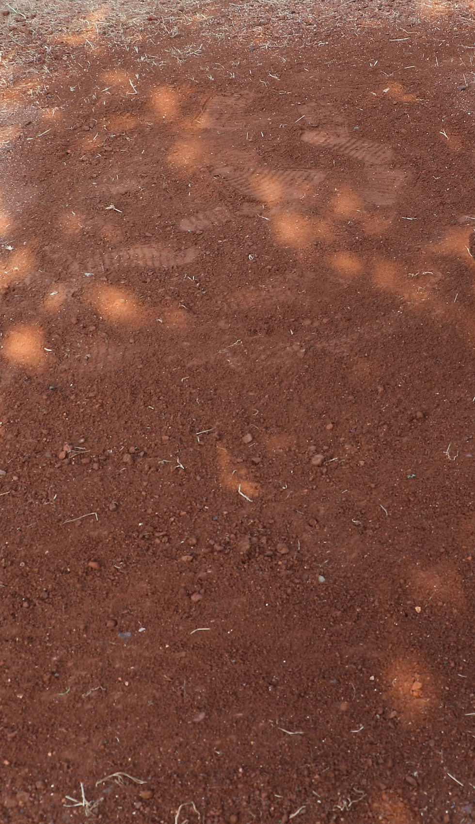 Red soil with scattered footprints and patches of light. Sparse grass and small pebbles visible, creating a natural and earthy texture.