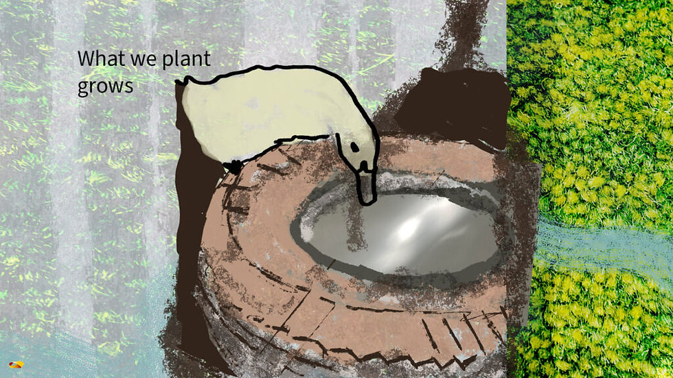 A duck stands at the edge of a stone well. Text reads: "What we plant grows." Background shows green foliage.