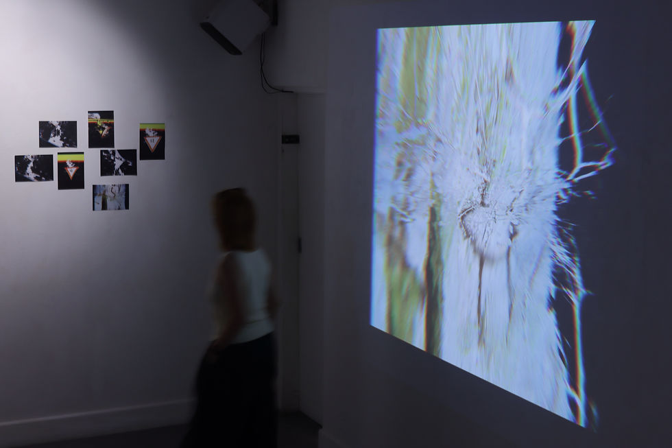 Blurred person in a dark gallery watches a bright abstract projection beside small wall photos and warning-sign prints.